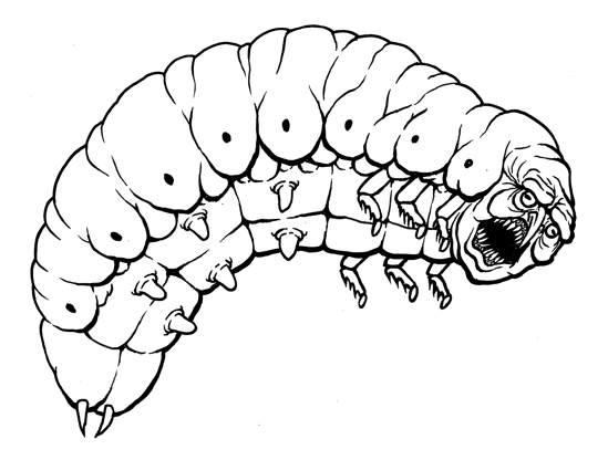 549x416 i turned on my laptop and drew a centipede in my imagination today
