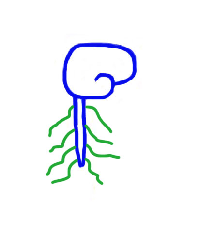 411x493 Humanantigravitysuit February