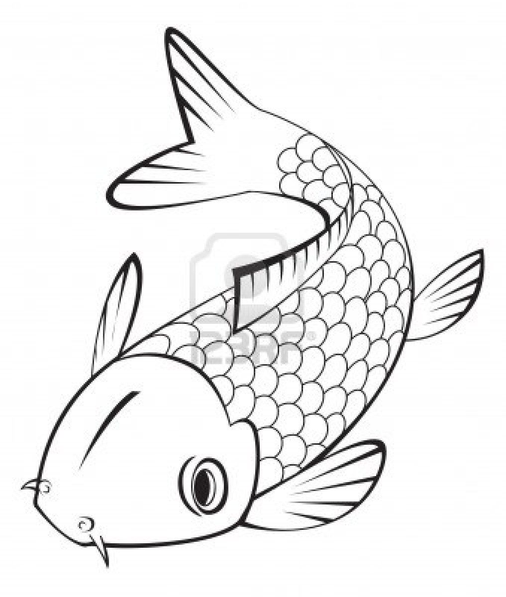 1017x1200 stock vector sealife inspiration koi fish drawing, koi fish
