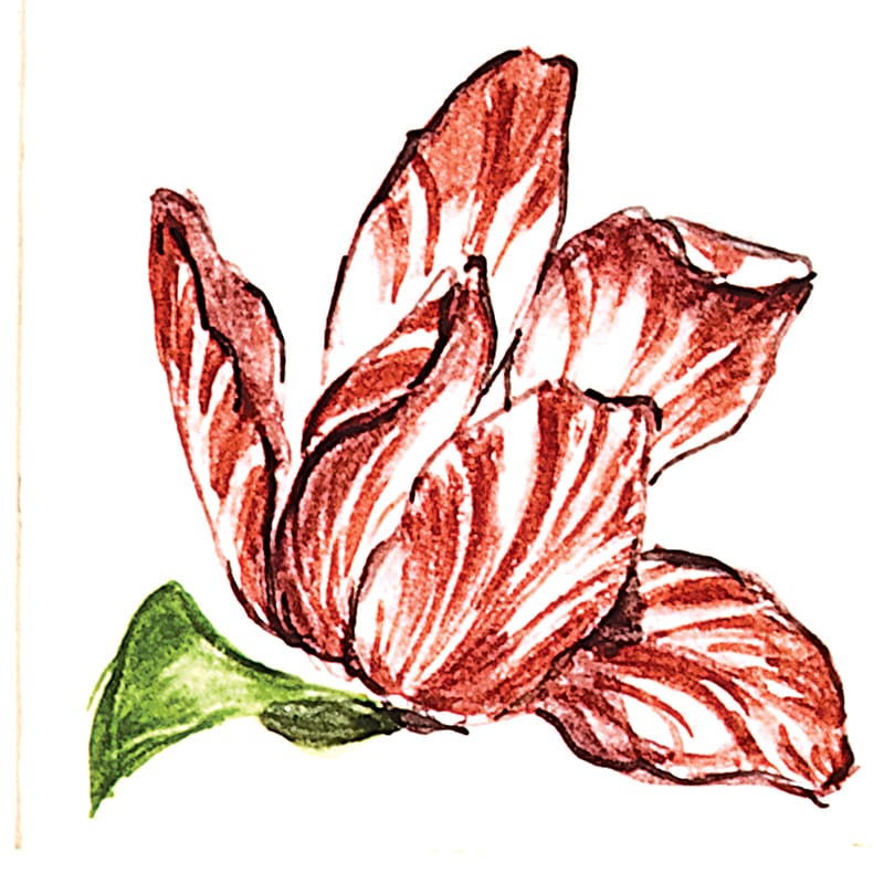 800x800 flower tulip a glossy ceramic tiles