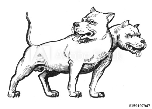 500x359 cerberus dog