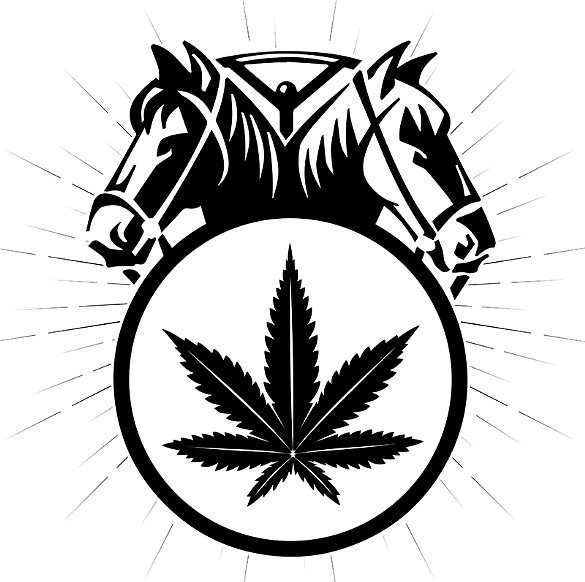 585x582 look for the union  edible news north bay bohemian