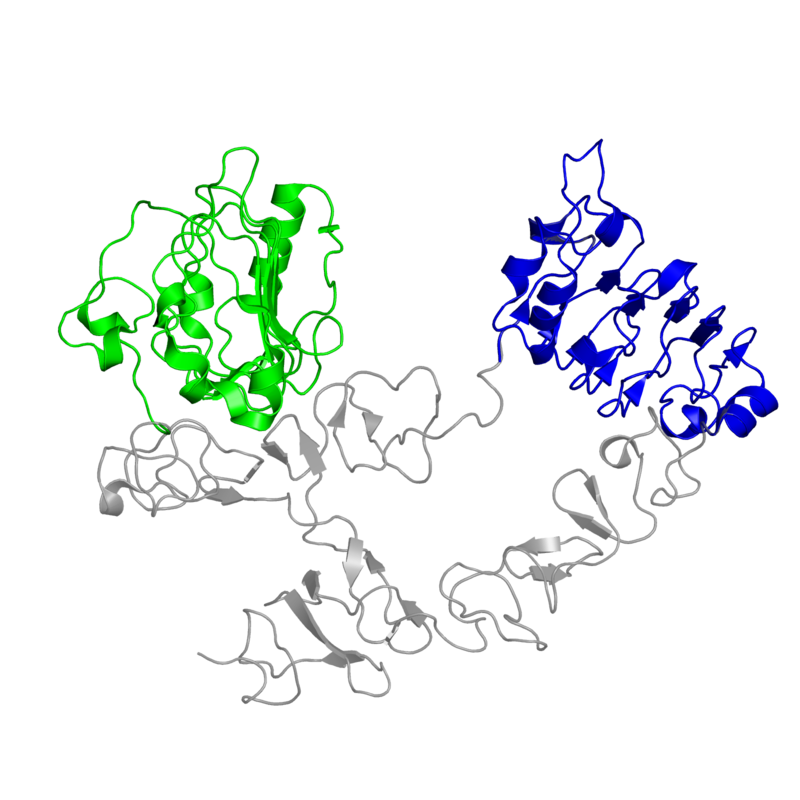 800x800 Stem Drawing Chain Transparent Png Clipart Free Download