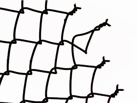 473x355 broken chain link fence photographic print