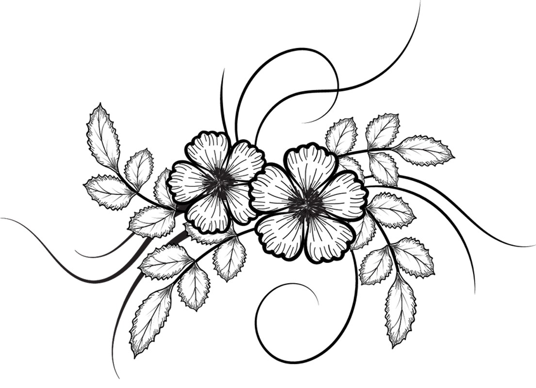 1105x800 Flower Chalk Art Transparent Png Clipart Free Download