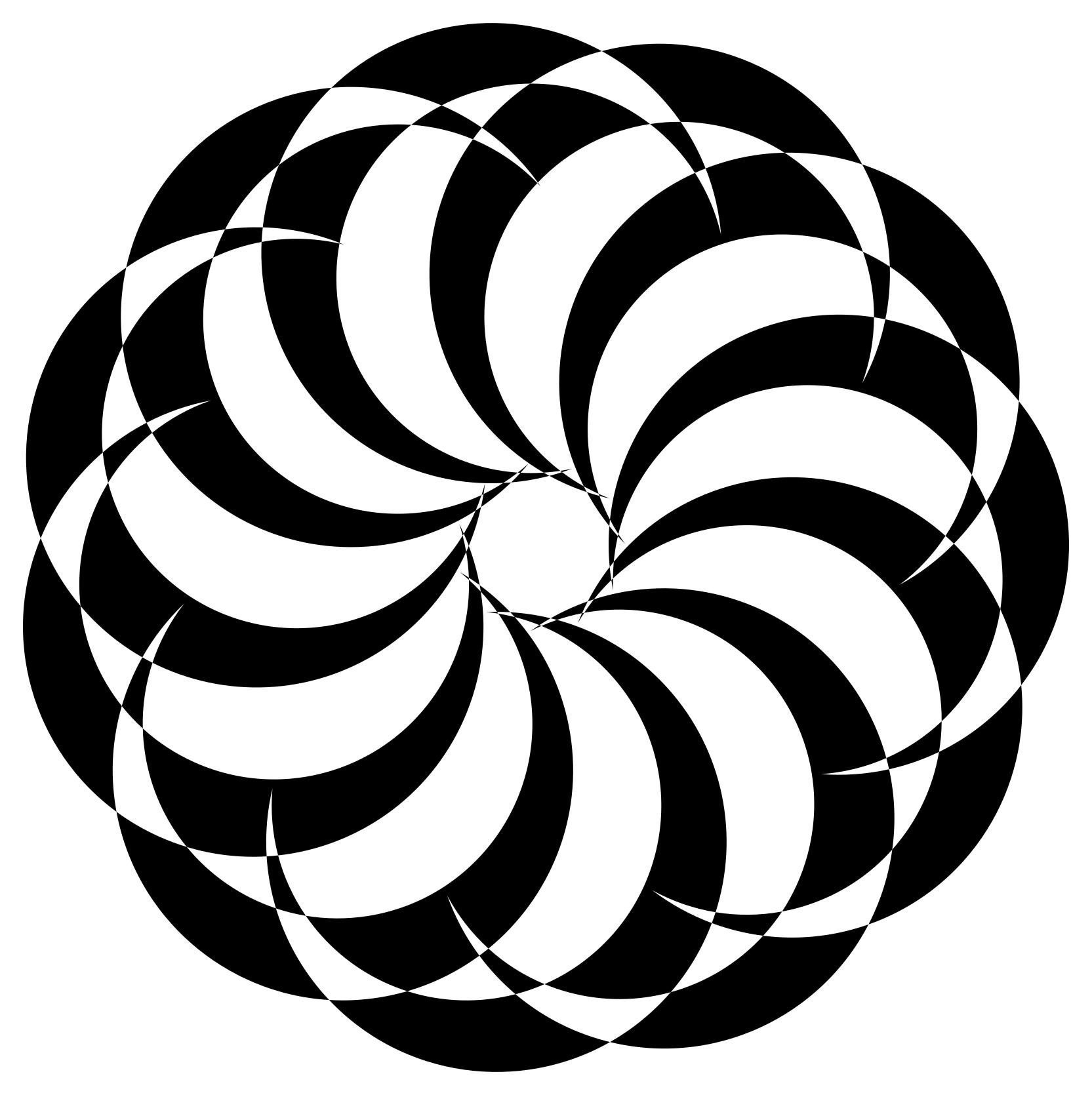 1665x1670 nautilus drawing silhouette for free download