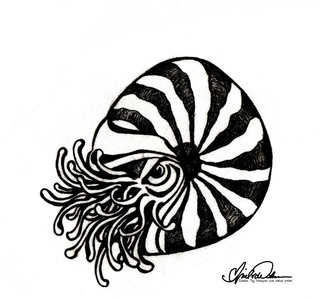 1024x946 Nautilus Tattoo Flash