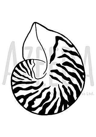 318x450 'shell' unmounted rubber stamp