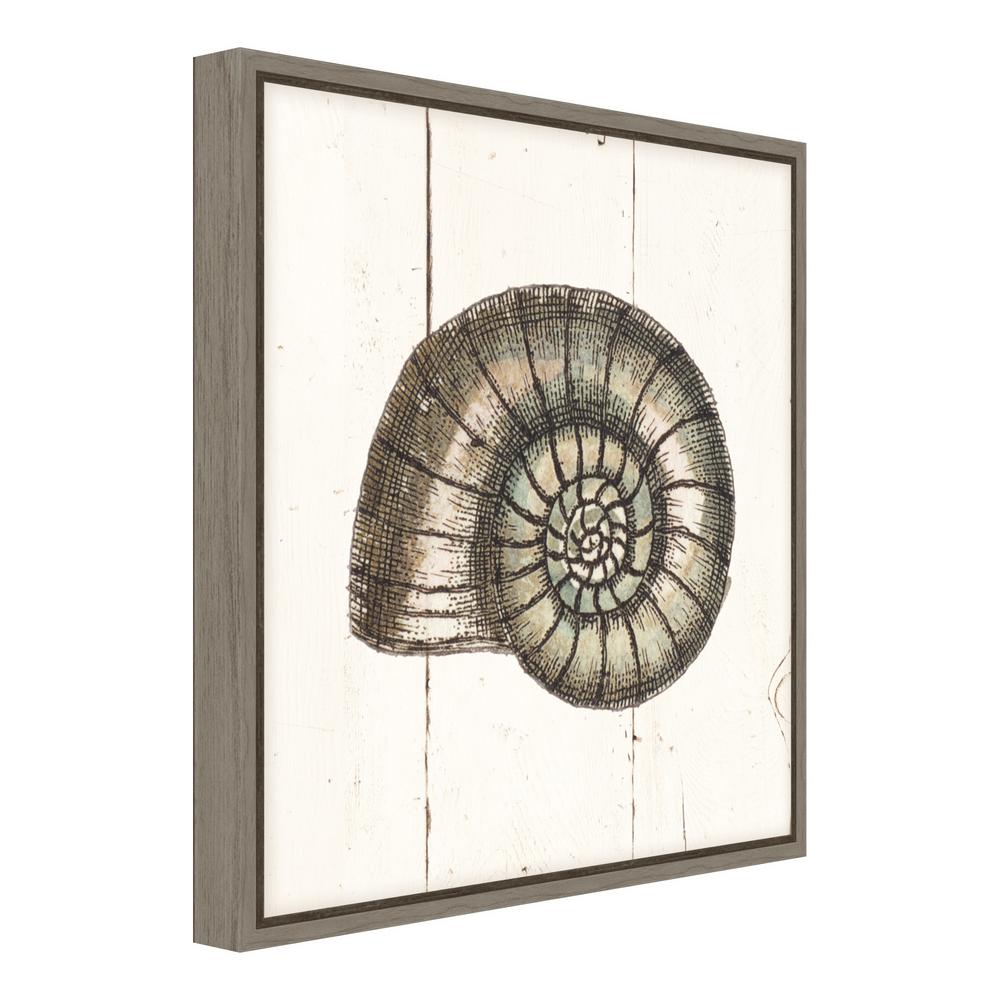 1000x1000 Amanti Art Shell Sketches I Shiplap