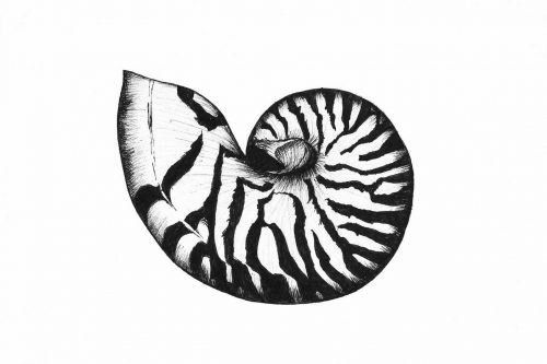 500x333 Cards Archives