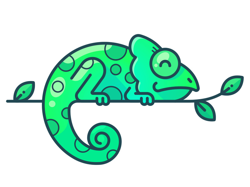 800x600 chameleon speedpaint