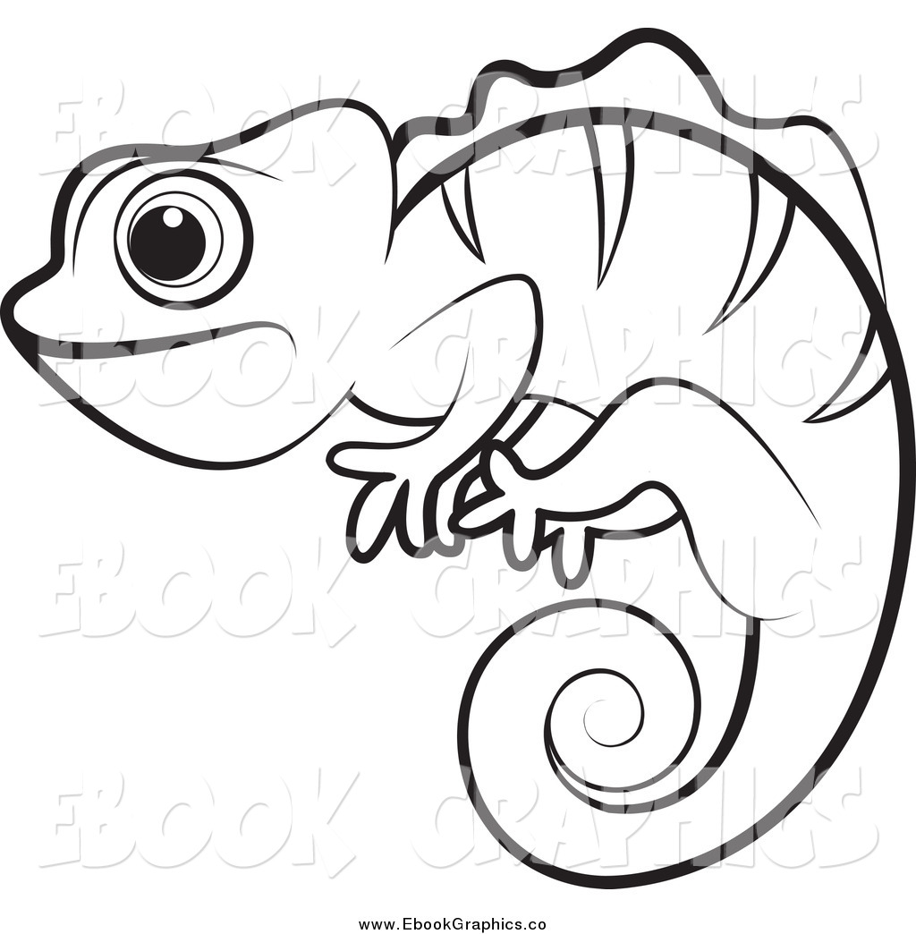 1024x1044 Chameleon Drawing Outline For Free Download