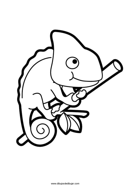 530x748 Drawings Chameleon Coloring And Drawing Imprimirdibujos