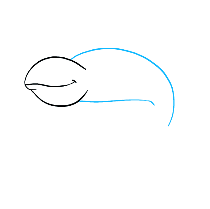 680x678 How To Draw A Chameleon