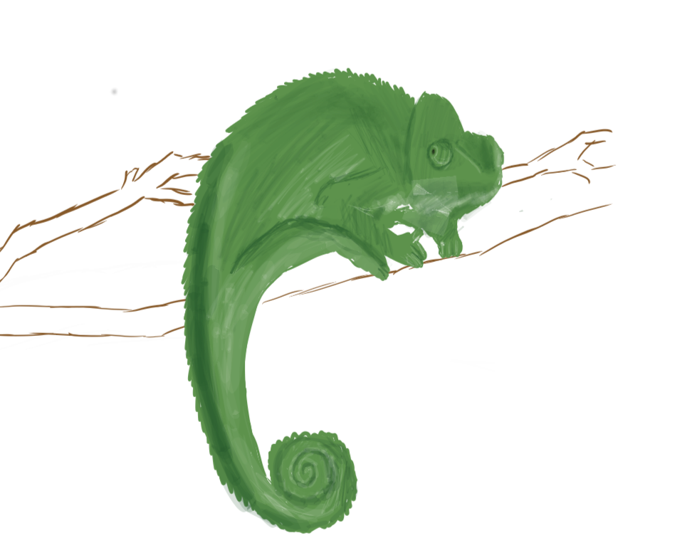 958x763 i tried drawing a chameleon, but eh chameleons