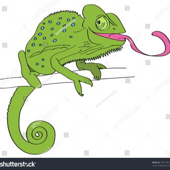 336x336 Chameleon Drawing Painting Pictures Black A From Memory Cute Comic