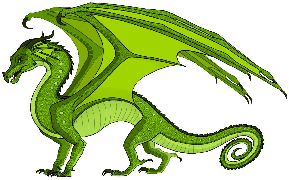 Chameleon Drawing Template