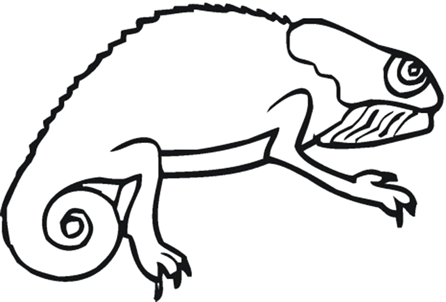 886x600 Chameleon Drawing Template