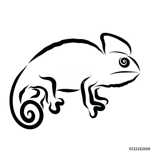 500x500 chameleon outline chameleon outline design