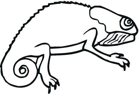 480x326 Chameleon Coloring Pages Printable