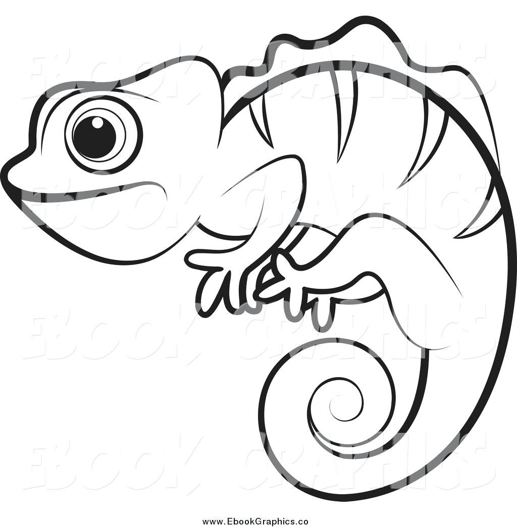 1024x1044 Chameleon Drawing Lizard For Free Download