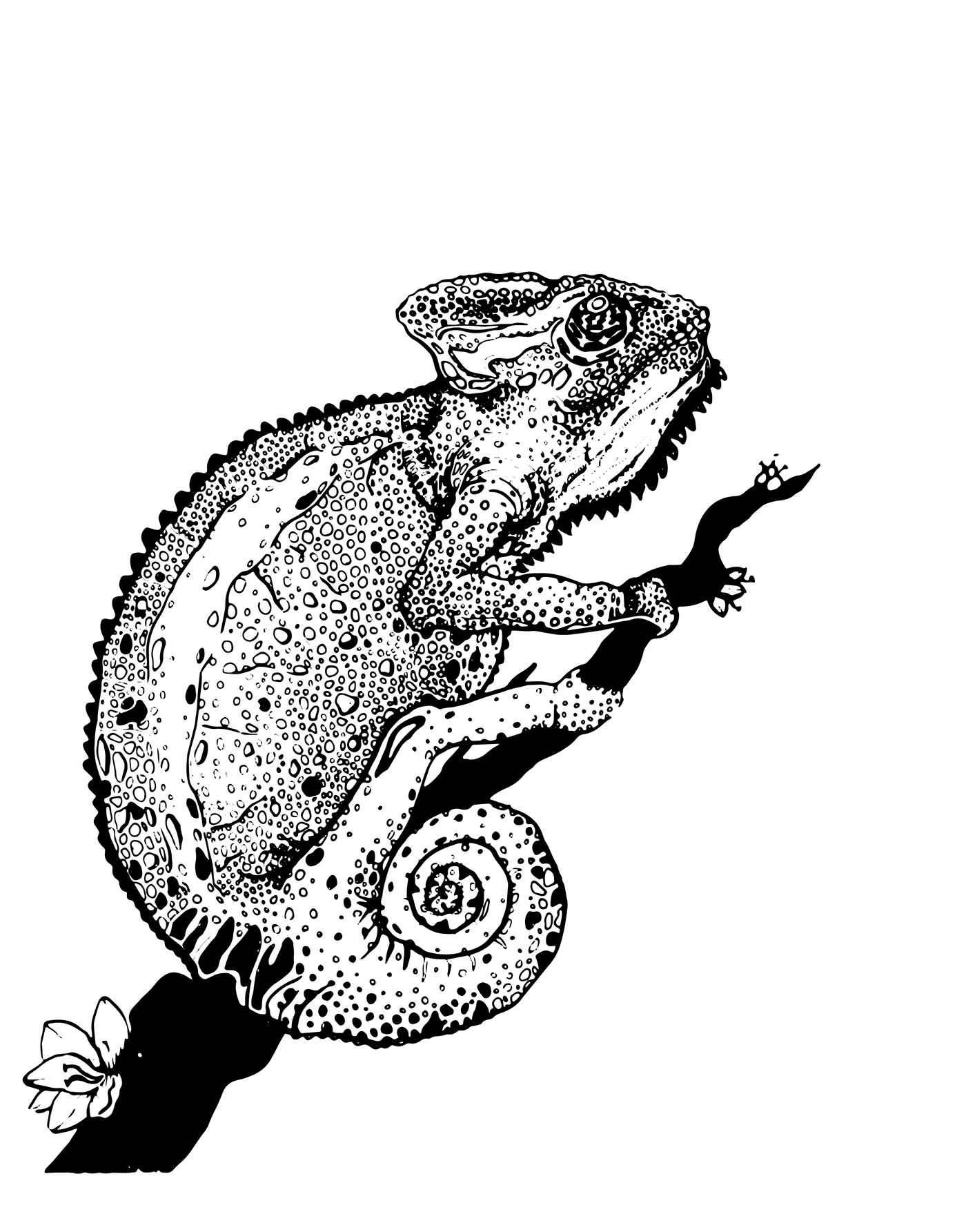 1400x1785 Chameleon Screenprint Project On Behance