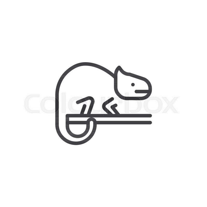 800x800 Chameleon Outline Icon Linear Style Stock Vector Colourbox