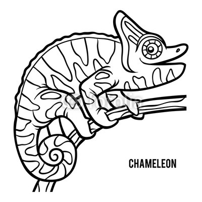 400x400 coloring book, chameleon buy photos ap images detailview