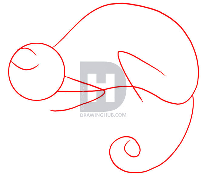 690x611 How To Draw A Chameleon, Step