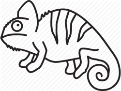 250x188 Reptile Drawing Chameleon, Picture