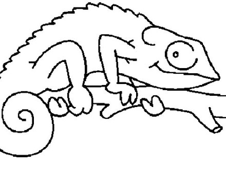 440x330 chameleon coloring page, chameleon coloring pages for kids az