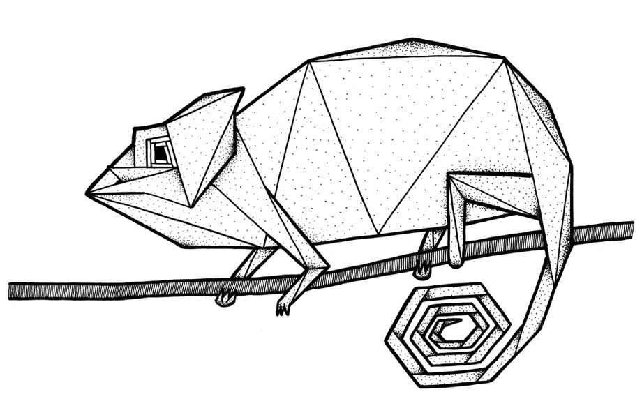 920x595 Chameleon, An Art Print