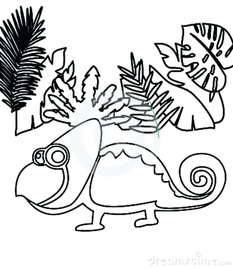 782x900 chameleon coloring the mixed up chameleon coloring