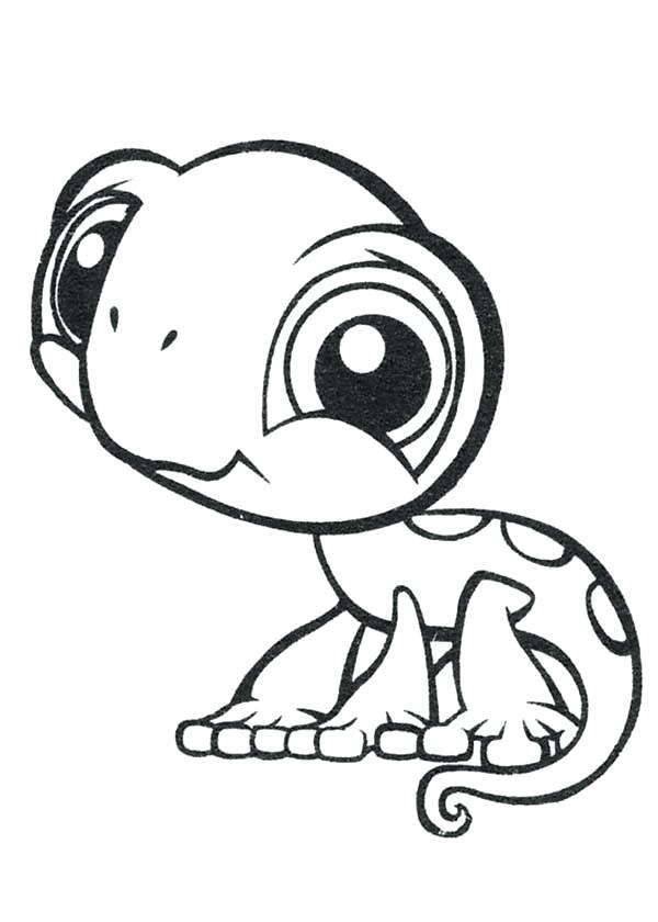 600x840 chameleon template printable chameleon coloring