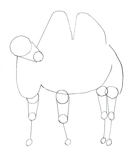 450x537 how to draw a camel how to draw camel step how to draw