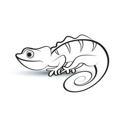 240x240 Black Outline Chameleon Vector Cartoon