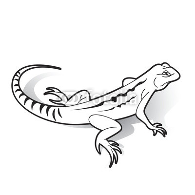 400x400 Black Outline Chameleon Vector Cartoon Buy Photos Ap Images