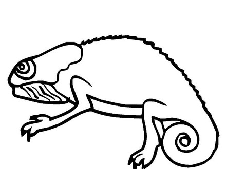 440x330 chameleon coloring page, chameleon coloring pages for kids az
