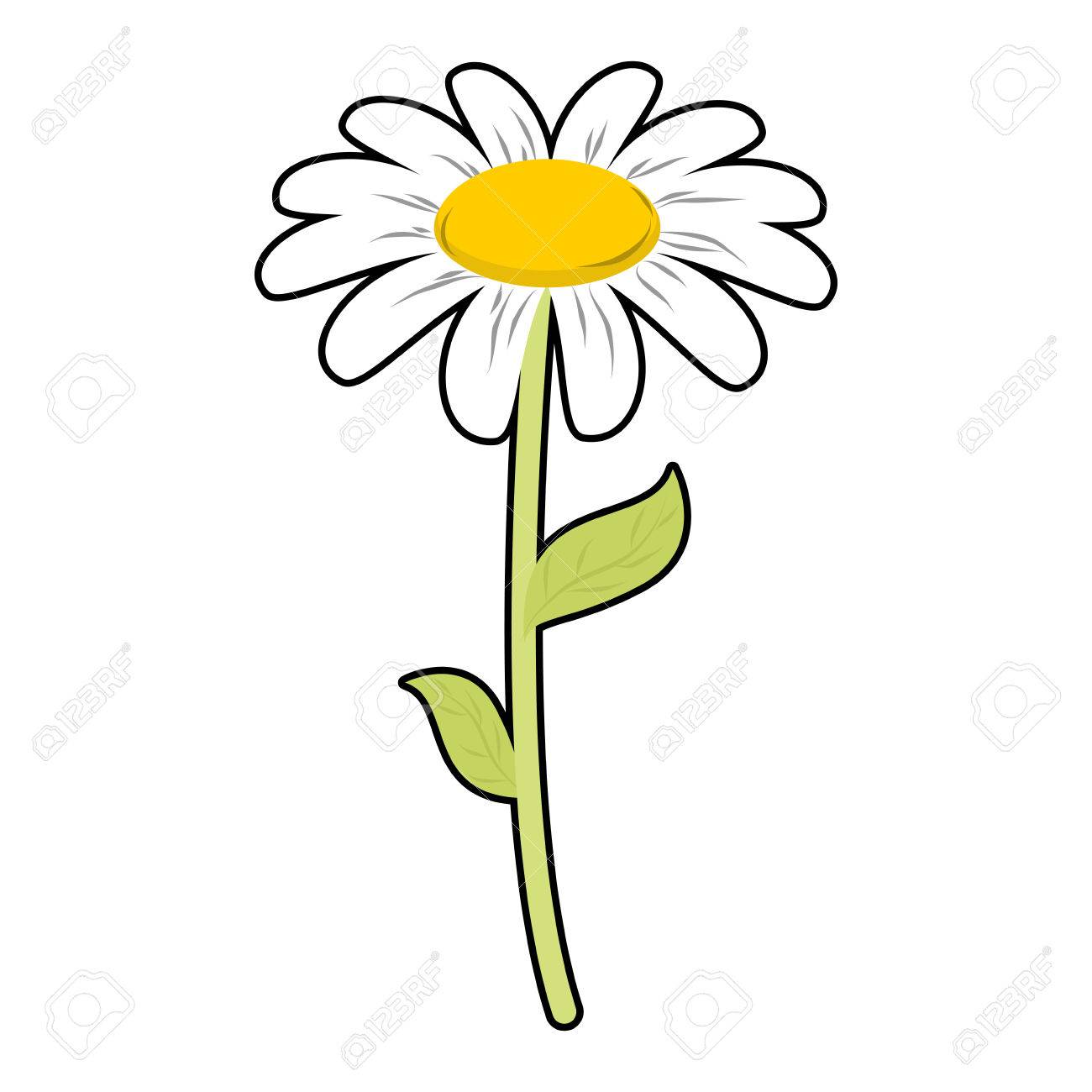 1300x1300 Collection Of Free Chamomile Clipart Daisy Field Download On Ui Ex