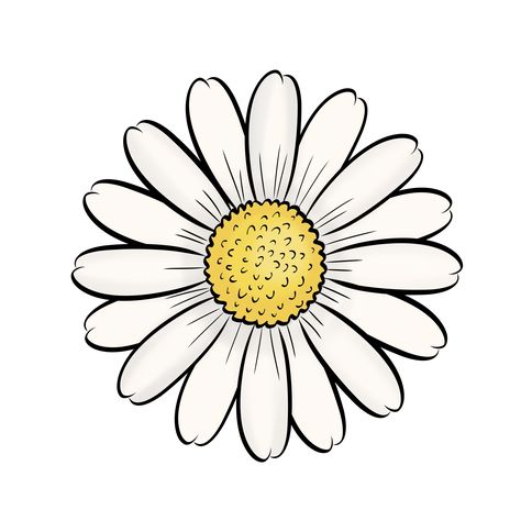 474x474 Daisy, Flowers, Silhouette,graphics,illustration,vector,logo