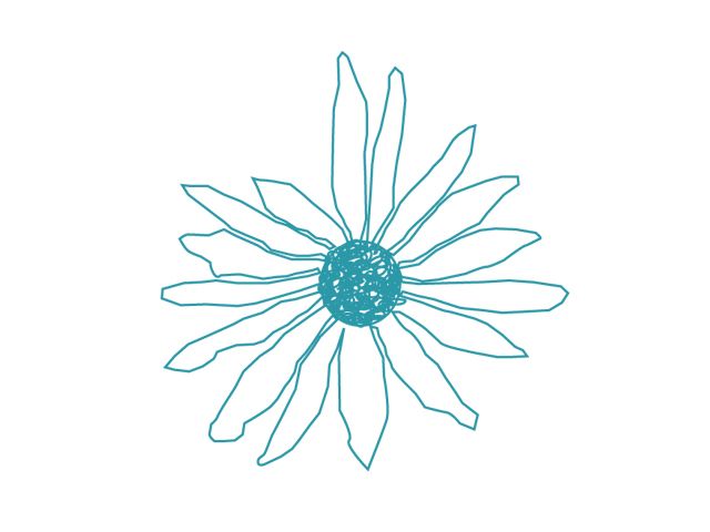 640x480 Chamomile Sketch Draw Paint Sketches, Drawing