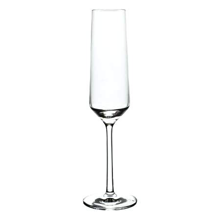 450x450 best champagne glasses two of our picks for best champagne glass