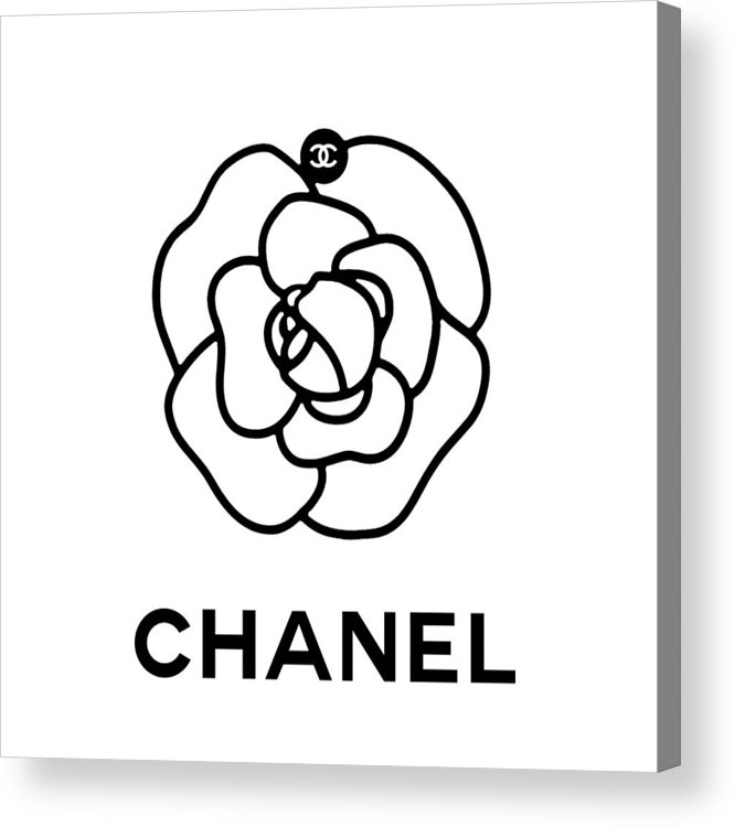 666x750 Camellia Chanel Acrylic Print