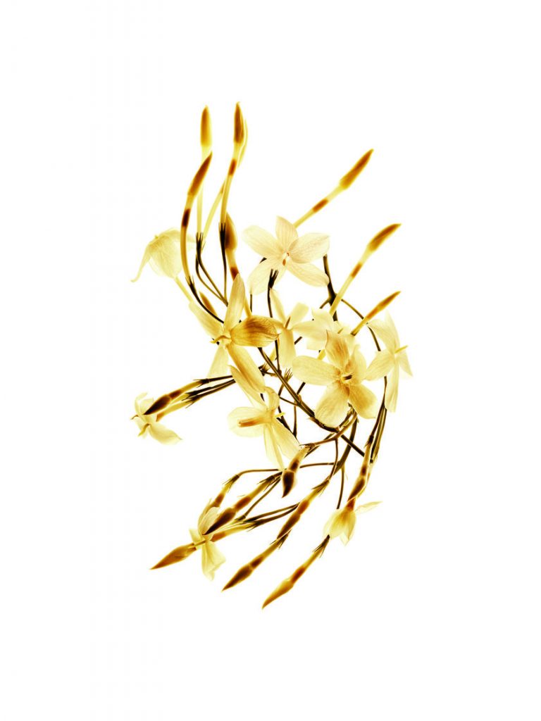 768x1024 meet gabrielle, chanel's brand new scent so chic