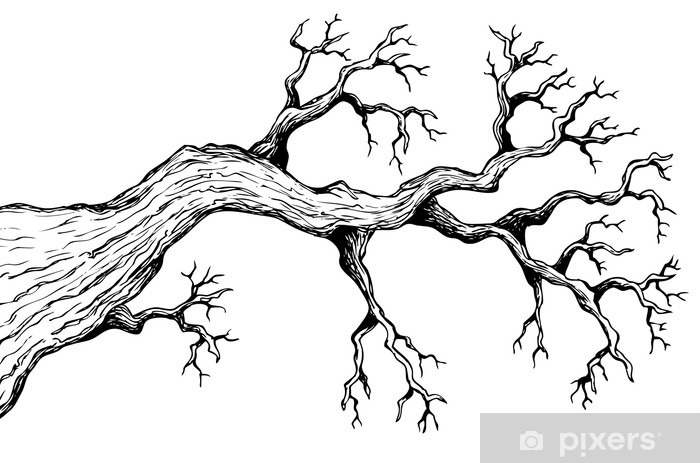 700x463 Tree Theme Drawing Wall Mural We Live To Change