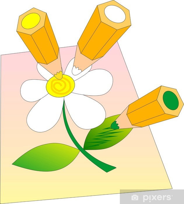 631x700 Coloured Pencil Drawing Camomile Wall Mural We Live