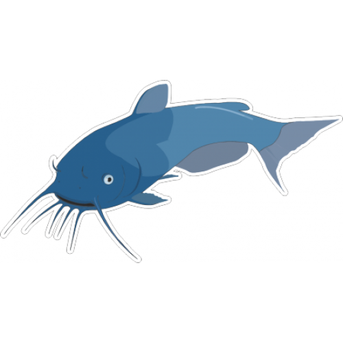 Channel Catfish Drawing | Free download on ClipArtMag
