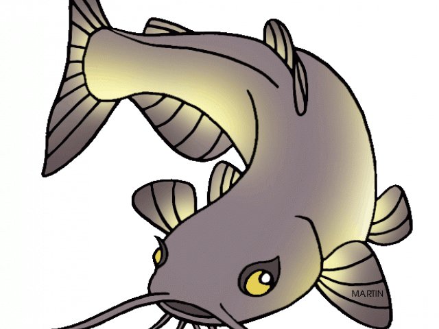 640x480 Collection Of Free Catfish Drawing Cat Fish Download On Ui Ex