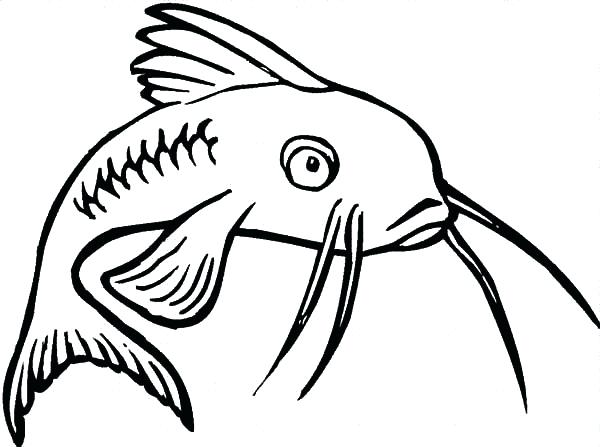 Nebraska State Fish Channel Catfish Page Coloring Pages