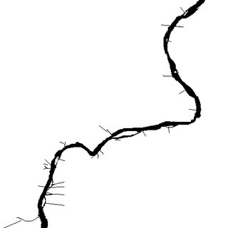 320x320 the age frequencies of channel catfish, freshwater drum, and white